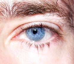 Profil de Abdesselem